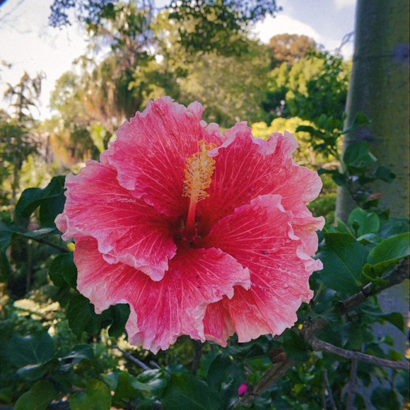 Meet your Posher, Sarah - Picture 3 of 5